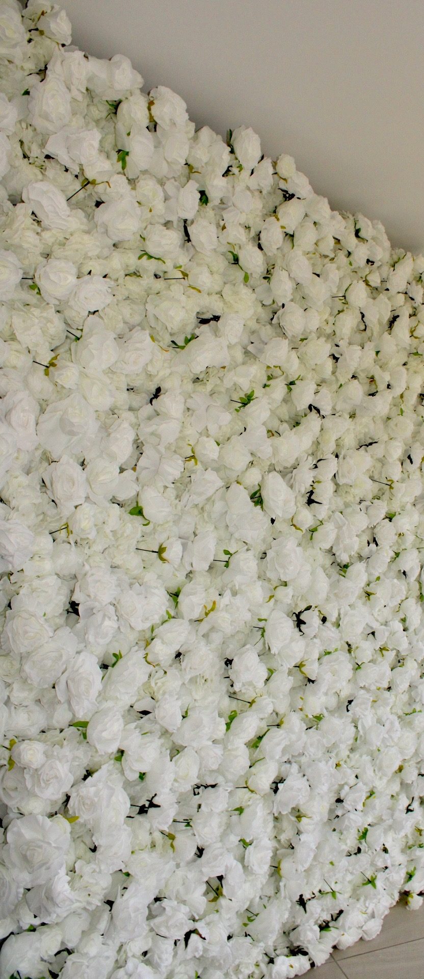 Close view along the face of the white rose flower wall