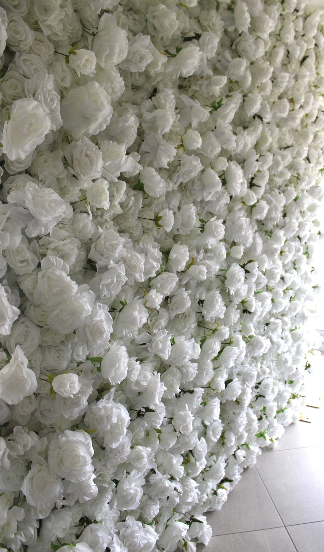 Close view along the face of the white rose flower wall